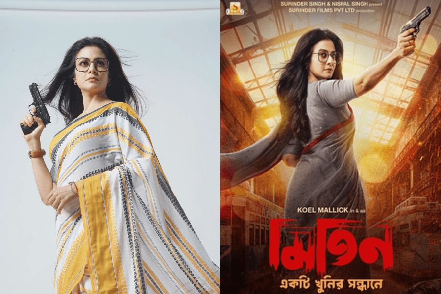 মিতিন মাসি